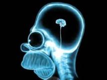 Ne vlada ovde medijski mrak, nego su ljudi kompletni idioti