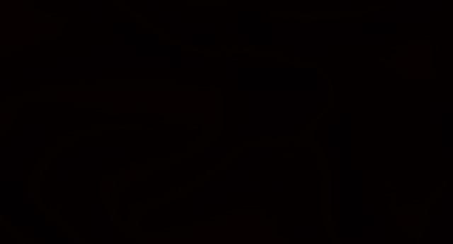 U Kuranu se izraz «hidjab» pojavljuje samo jednom i znači «veo iza koga se krije Bog»