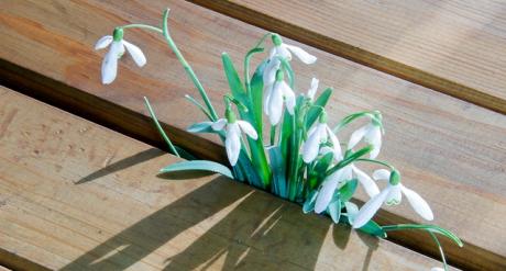 Kad imaš neprijatelje, imaš sve